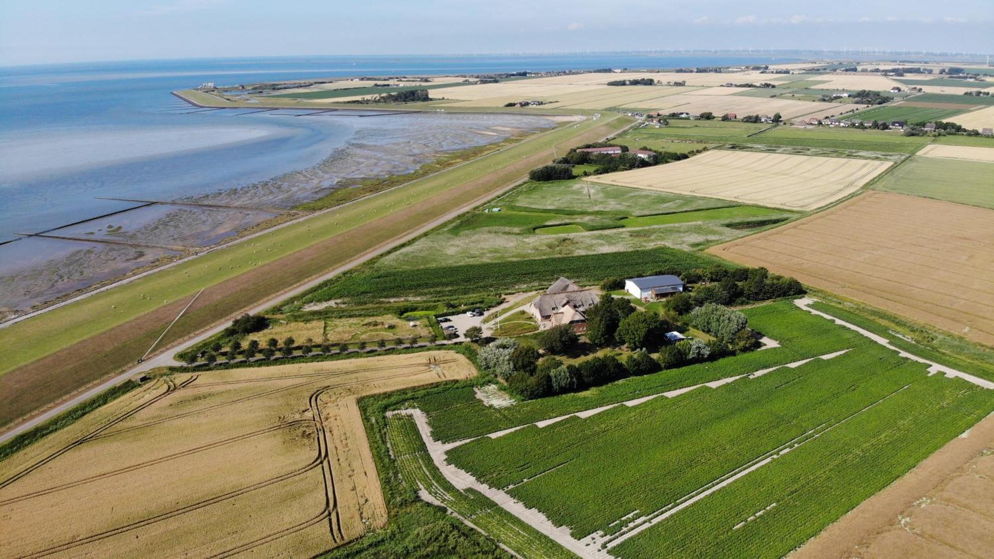 Graefinhof Apartman Nordstrand Kültér fotó
